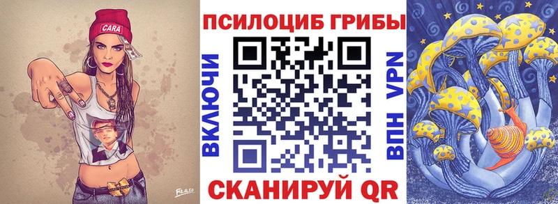наркошоп  Дрезна  Галлюциногенные грибы прущие грибы 
